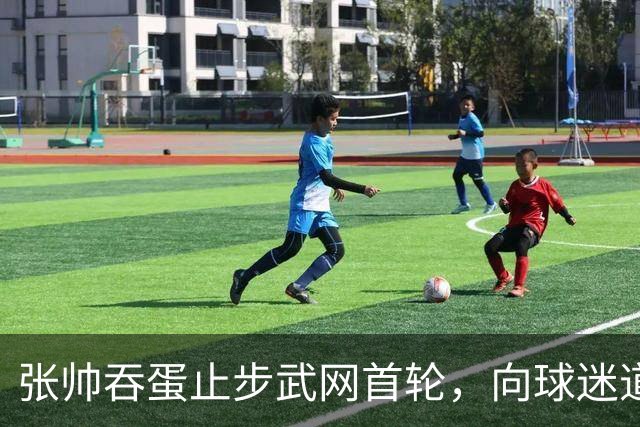 张帅吞蛋止步武网首轮，向球迷道歉，“筋疲力竭，骨头都要碎了”