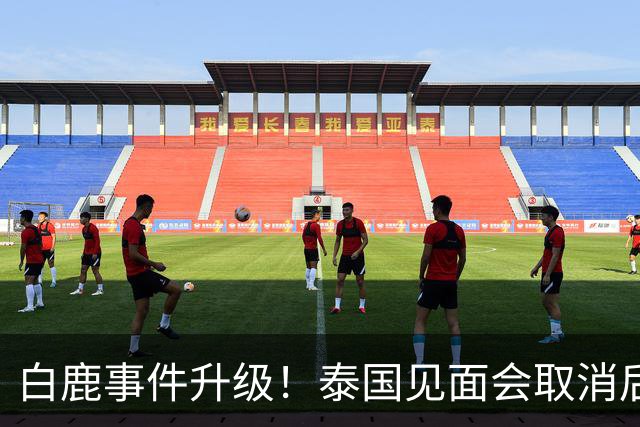 白鹿事件升级！泰国见面会取消后，缅北视频又被扒，黑历史曝光