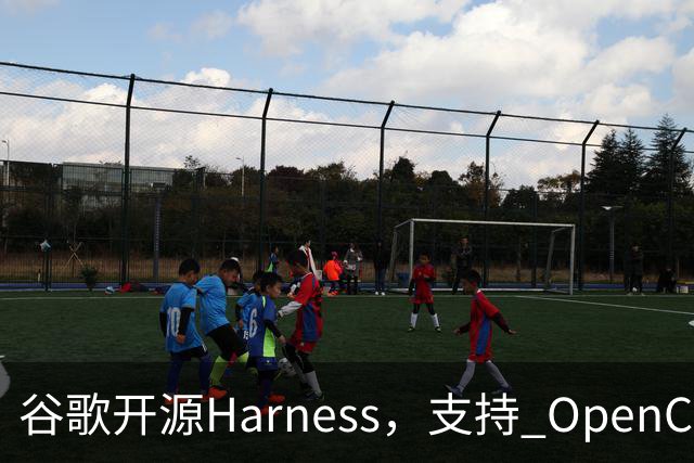 谷歌开源Harness，支持 OpenCode 和 Codex：国内开发者接入Jev实测“真行”