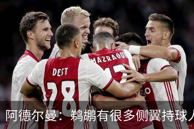 阿德尔曼：鹈鹕有很多侧翼持球人 惠尔摩尔上场会对我们有帮助