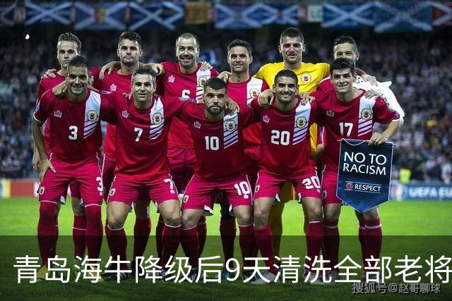 青岛海牛降级后9天清洗全部老将，是薪资帽所迫还是早有预案？